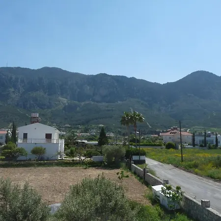 Fruit Tree * Lapithos (Northern Cyprus)