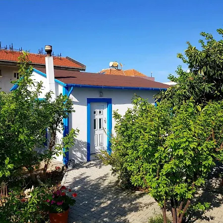 Villa Fruit Tree Lapithos (Northern Cyprus)